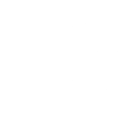 Hôtel Le Royaume des Lions